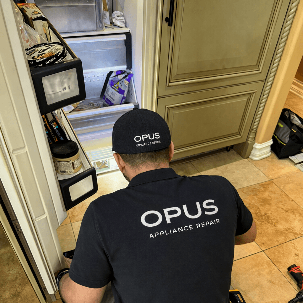 Built-in appliance diagnostic in progress